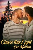 Chase This Light (eBook, ePUB)