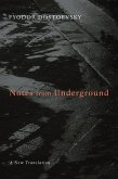 Notes from Underground (eBook, ePUB)