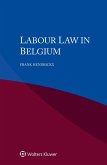 Labour Law in Belgium (eBook, ePUB) Labour Law in Belgium (eBook, ePUB)