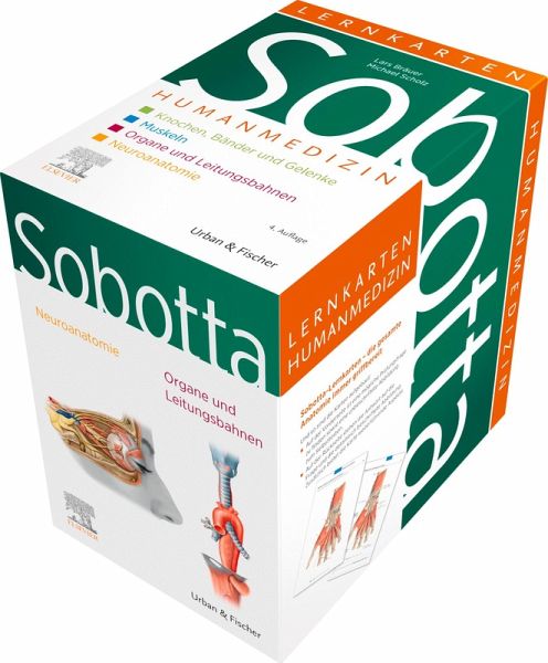 Sobotta Lernkarten Humanmedizin (eBook, ePUB)