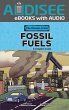 Fossil Fuels (eBook, ePUB) - Bild 1