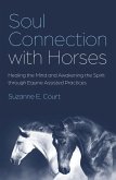 Soul Connection with Horses (eBook, ePUB)