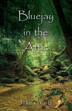 Cover Bluejay in the Attic (eBook, ePUB)