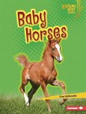 Baby Horses (eBook, ePUB)