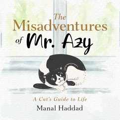 The Misadventures of Mr. Azy (eBook, ePUB) - Haddad, Manal