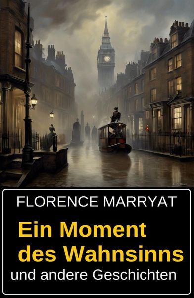 Ein Moment des Wahnsinns und andere Geschichten (eBook, ePUB) Ein Moment des Wahnsinns und andere Geschichten (eBook, ePUB)