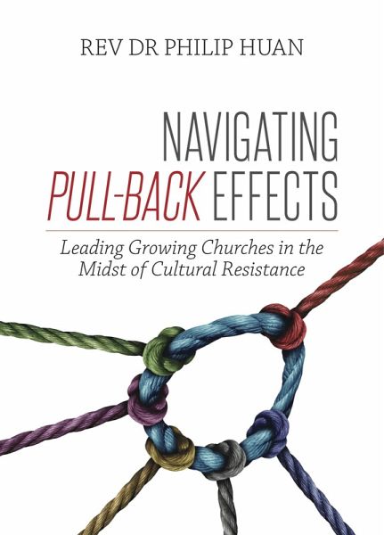 Navigating Pull-Back Effects (eBook, ePUB) Navigating Pull-Back Effects (eBook, ePUB)