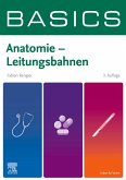 BASICS Anatomie - Leitungsbahnen (eBook, ePUB)