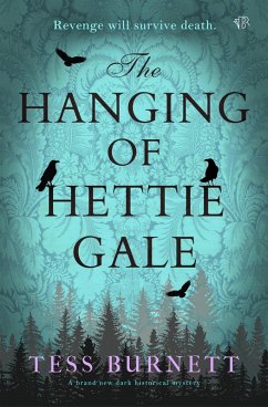 Cover The Hanging of Hettie Gale (eBook, ePUB)