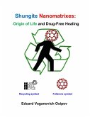 Shungite Nanomatrixes: Origin of Life and Drug-Free Healing (eBook, ePUB)