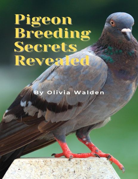 Pigeon Breeding Secrets Revealed (eBook, ePUB) Pigeon Breeding Secrets Revealed (eBook, ePUB)
