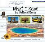 What I Saw in Yellowstone (eBook, ePUB)