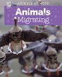 Animals Migrating (eBook, PDF) - Bild 1