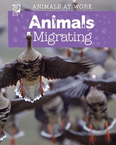 Animals Migrating (eBook, PDF) Animals Migrating (eBook, PDF)