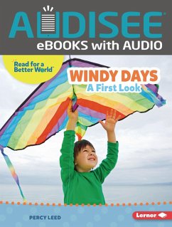Cover Windy Days (eBook, ePUB)