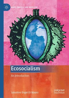 Cover Ecosocialism (eBook, PDF)