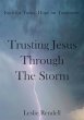 Trusting Jesus Through The Storm (Bible... - Bild 1