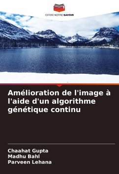 Cover Amélioration de l'image à l'aide d'un algorithme génétique continu