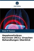 Hepatozelluläres Karzinom (HCC): Ursachen Behandlungen Überblick