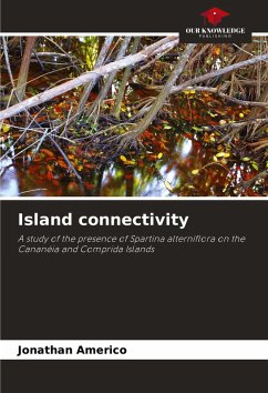 Island connectivity - Americo, Jonathan
