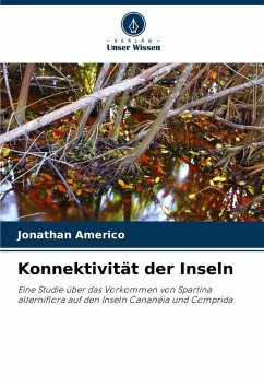 Konnektivität der Inseln Cover Konnektivität der Inseln