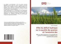 Effet du déficit hydrique sur la qualité des graines et l¿anatomie des - KOUADRIA, Rabiaa