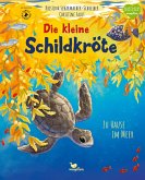 Die kleine Schildkröte - Zu Hause im Meer Die kleine Schildkröte - Zu Hause im Meer