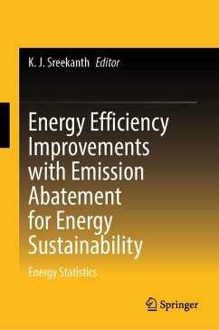 Cover Energy Efficiency Improvements with Emission Abatement for Energy Sustainability (eBook, PDF)
