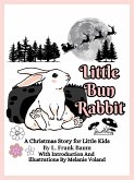 Little Bun Rabbit (Illustrated and Annotated) (eBook, ePUB)