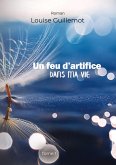Un feu d'artifice dans ma vie (eBook, ePUB)