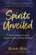 Spirits Unveiled (eBook, ePUB) - Bild 1