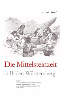 Cover Die Mittelsteinzeit in Baden-Württemberg