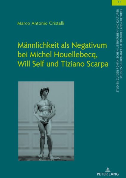 Männlichkeit als Negativum bei Michel Houellebecq, Will Self und Tiziano Scarpa