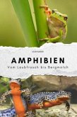 Amphibien - Das perfekte Geschenk für Männer und Frauen zu Weihnachten und Geburtstag Amphibien - Das perfekte Geschenk für Männer und Frauen zu Weihnachten und Geburtstag