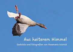 Aus heiterem Himmel