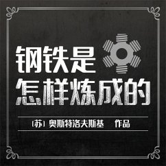 Cover 钢铁是怎样炼成的 (MP3-Download)