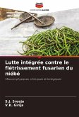 Lutte intégrée contre le flétrissement fusarien du niébé Lutte intégrée contre le flétrissement fusarien du niébé