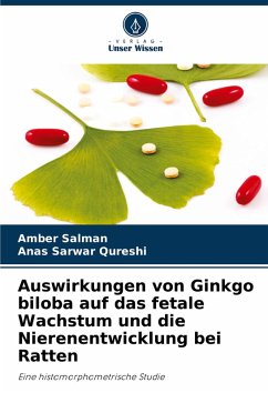 Cover Auswirkungen von Ginkgo biloba auf das fetale Wachstum und die Nierenentwicklung bei Ratten