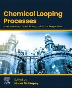 Cover Chemical Looping Processes