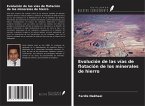 Evolución de las vías de flotación de los minerales de hierro