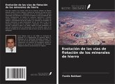 Evolución de las vías de flotación de los minerales de hierro