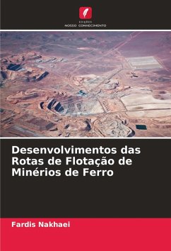 Cover Desenvolvimentos das Rotas de Flotação de Minérios de Ferro