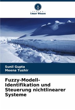 Cover Fuzzy-Modell-Identifikation und Steuerung nichtlinearer Systeme