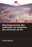 Développements des méthodes de flottation des minerais de fer