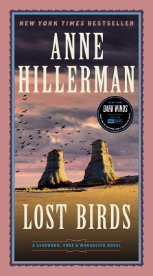 Cover Lost Birds
