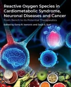 Cover Reactive Oxygen Species in Cardiometabolic Syndrome, Neuronal Diseases and Cancer