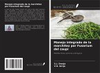Manejo integrado de la marchitez por Fusarium del caupí Manejo integrado de la marchitez por Fusarium del caupí
