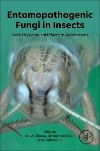 Cover Entomopathogenic Fungi in Insects