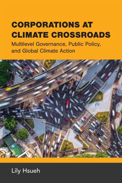 Corporations at Climate Crossroads (eBook, ePUB)