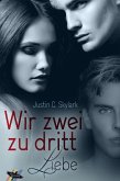 Wir zwei zu dritt: Liebe (eBook, ePUB)